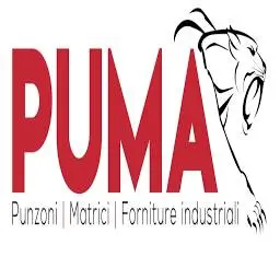 Forniturepuma.it Favicon