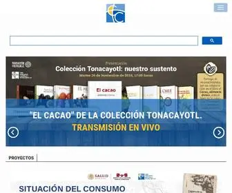 Foroconsultivo.org.mx(Foro Consultivo) Screenshot