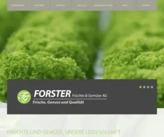 Forster-Gruppe.ch(FORSTER Gruppe AG) Screenshot