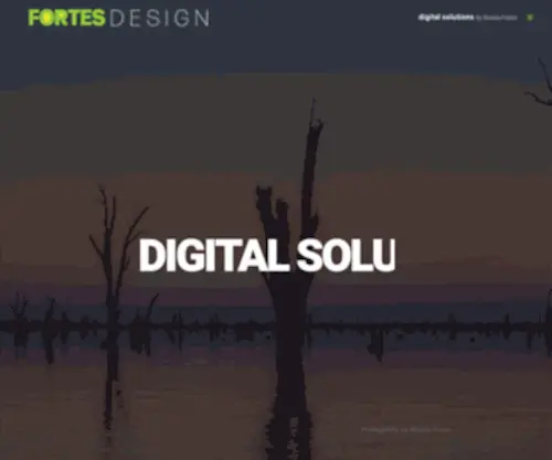 Fortesdesign.com.au(Digital Solutions & Online Marketing) Screenshot