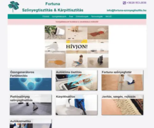 Fortuna-Szonyegtisztito.hu(Fortuna Szonyegtisztito) Screenshot