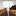 Fortunemovement.com Favicon
