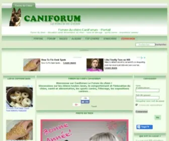 Forum-Chien.com(Forum du chien caniforum) Screenshot