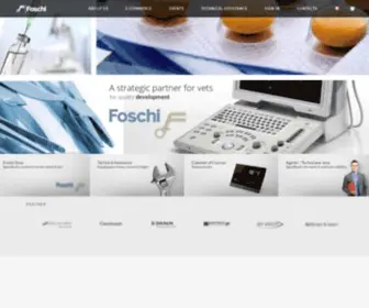 Foschigroup.com(Foschi S.r.l) Screenshot