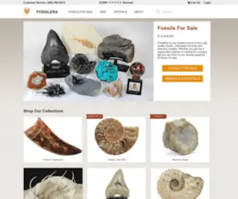 Fossilera.com(Fossils & Crystals For Sale) Screenshot
