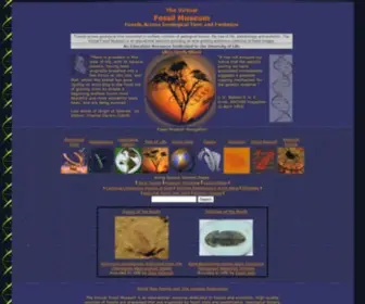 Fossilmuseum.net(Fossils Geological Time and Evolution) Screenshot