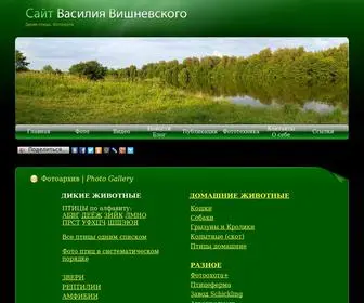 Fotoparus.com(Главная) Screenshot