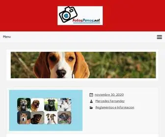 Fotosperros.net(Los Mejores Productos para Perros) Screenshot