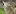 Foundationalhope.com Favicon