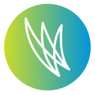 Foundations-Learning.com Logo