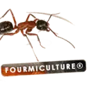 Fourmiculture.com Favicon