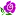 Fourseasonfloraldesign.com Favicon