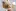 Fox-Saying.com Favicon