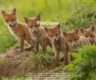 Foxclone.com(Foxclone backup) Screenshot