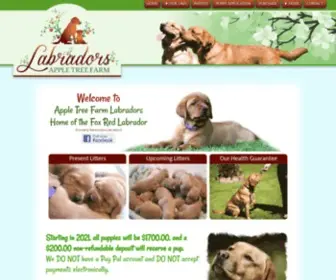 Foxredlabpups.com(Foxredlabpups) Screenshot