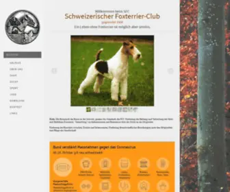 Foxterrier.ch(Schweizerischer Foxterrier) Screenshot