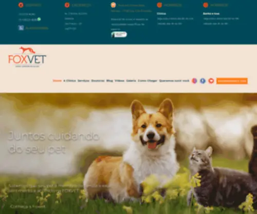 Foxvet.com.br(Clínica Veterinária) Screenshot