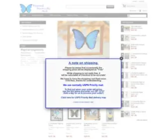 Framedbutterflyart.com(Beautiful framed real butterflies) Screenshot