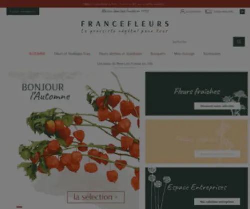 Francefleurs.com(Fleurs coupées) Screenshot