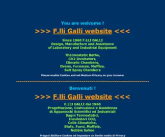 Fratelli-Galli.it(F.lli Galli) Screenshot