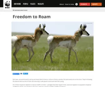 Freedomtoroam.org(World Wildlife Fund) Screenshot