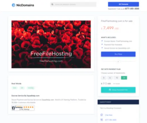 Freefilehosting.com(The Leading Free File Hosting Site on the Net) Screenshot