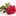 Freezedriedrosepetals.com.au Favicon