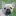 French-Bulldogs.net.au Favicon