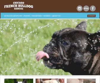 Frenchieporvous.org(Chicago French Bulldog Rescue) Screenshot