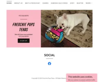 Frenchiepupstexas.com(French Bulldog Puppies) Screenshot