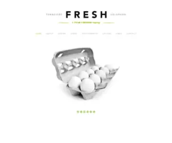 Fresh-Design.com(FILM company) Screenshot