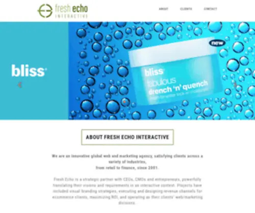 Freshecho.com(Fresh echo INTERACTIVE) Screenshot