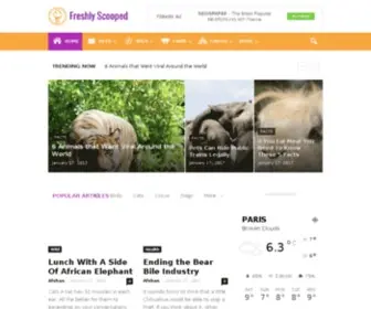 Freshlyscooped.com(Freshly Scooped) Screenshot