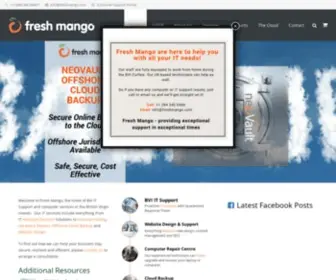 Freshmango.com(BVI IT Support) Screenshot