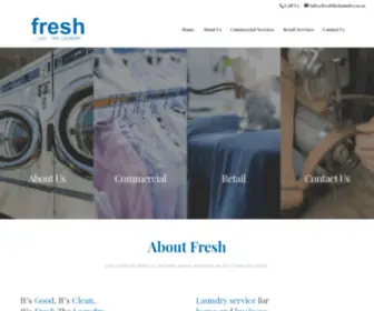 Freshthelaundry.co.za(Fresh the Laundry) Screenshot