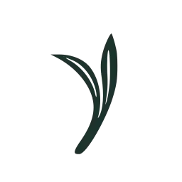 Friedrichapotheke.de Favicon