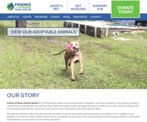 Friendsofstrays.com(Friendsofstrays) Screenshot