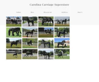 Friesianhorsemarketplace.com(Friesian Sales and Stud Services) Screenshot