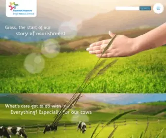 Frieslandcampina.com.pk(FrieslandCampina) Screenshot