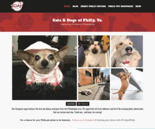 Friskyinphilly.com(Photos & Resources for Philadelphia Pet Lovers) Screenshot