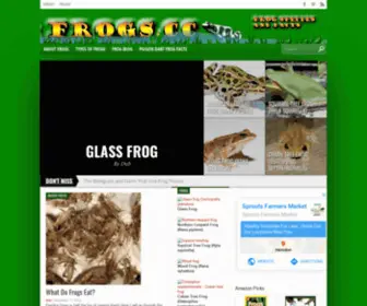 Frogs.cc(Frogs and Toad Facts and Info) Screenshot