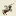 Frontaalnaakt.nl Favicon