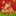 Frugalusenet.com Favicon
