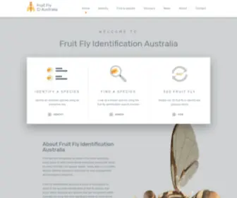 Fruitflyidentification.org.au(Fruit Fly ID Australia) Screenshot