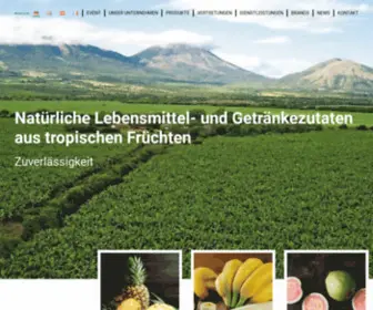 Frutco.ch(Natural food and beverage ingredients from tropical fruits) Screenshot