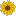 FRyfogelflowers.com Favicon