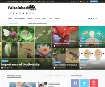 FSdtimes.com(Home Default) Screenshot