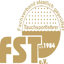 FST-EV.com Favicon