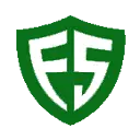 Fsvalue.com Favicon