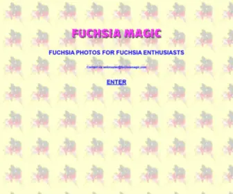 Fuchsiamagic.com(Fuchsia Magic) Screenshot